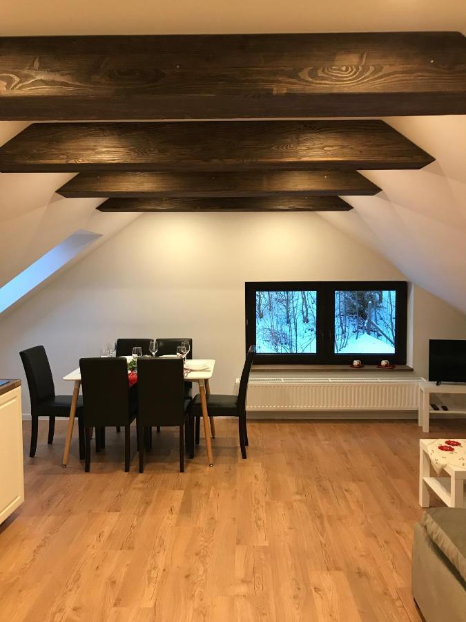 Apartamenty Goszowianka Stronie Śląskie Esterno foto