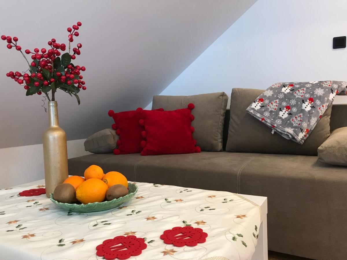 Apartamenty Goszowianka Stronie Śląskie Esterno foto